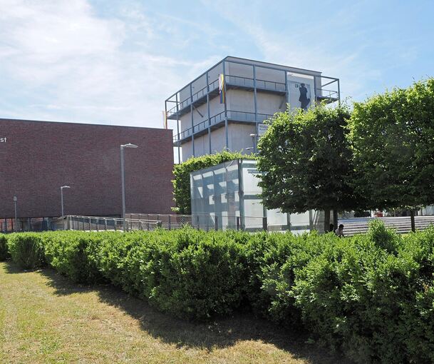An mehreren Stellen in Ludwigsburg gibt es Buchsbäume. Hier zum Beispiel am Akademiehof.