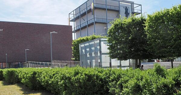 An mehreren Stellen in Ludwigsburg gibt es Buchsbäume. Hier zum Beispiel am Akademiehof.