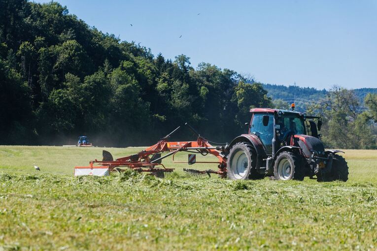 Deutscher Bauerntag Deutscher Bauerntag