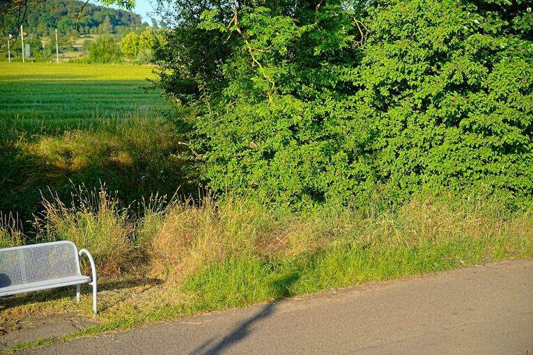 Nach dem Fund eines toten Säuglings in Renningen