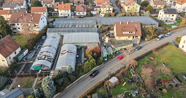 Wenn die Gärtnerei Pöhlmann Ende des Monats schließt, ergibt sich die Möglichkeit, neuen Wohnraum auf dem frei werdenden, 4700 Quadratmeter großen Areal zwischen Burgstraße und Korntaler Straße zu schaffen.