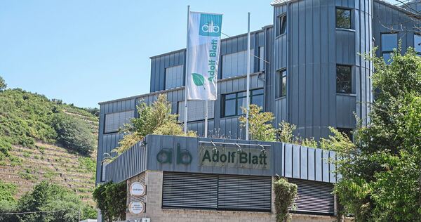 Der Unternehmenssitz von Adolf Blatt in Kirchheim: Die Firma wird ihre beiden Betonwerke am Neckar schließen.