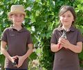 Emma (7, rechts) und Leni (5) können schon professionell mit einer Rebschere umgehen. In ihrer Familie hat der Weinbau eine lange Tradition.