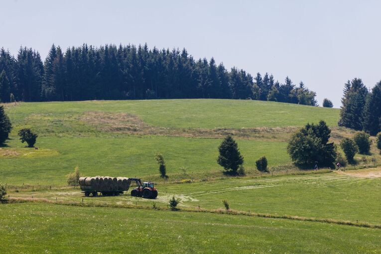 Wetter in Baden-Württemberg