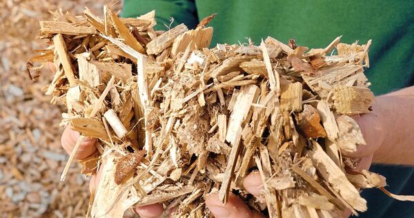 Holzhackschnitzel haben sich auf der Fahrbahn verteilt.