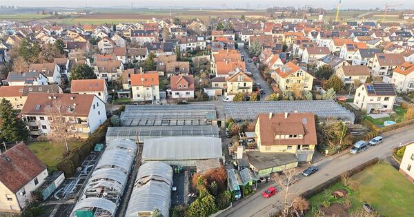 Construction project in Ditzingen: City councilors set further ...