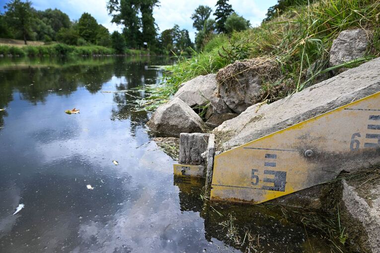 Niedrigwasser der Donau Niedrigwasser der Donau