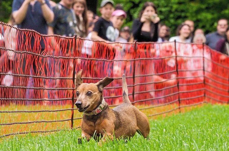 Fotos wie diese würde es nicht geben, wenn es nach dem Willen der Tierrechtsorganisation Peta geht.