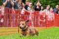Fotos wie diese würde es nicht geben, wenn es nach dem Willen der Tierrechtsorganisation Peta geht. Fotos wie diese würde es nicht geben, wenn es nach dem Willen der Tierrechtsorganisation Peta geht.