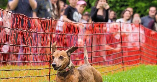 Fotos wie diese würde es nicht geben, wenn es nach dem Willen der Tierrechtsorganisation Peta geht.