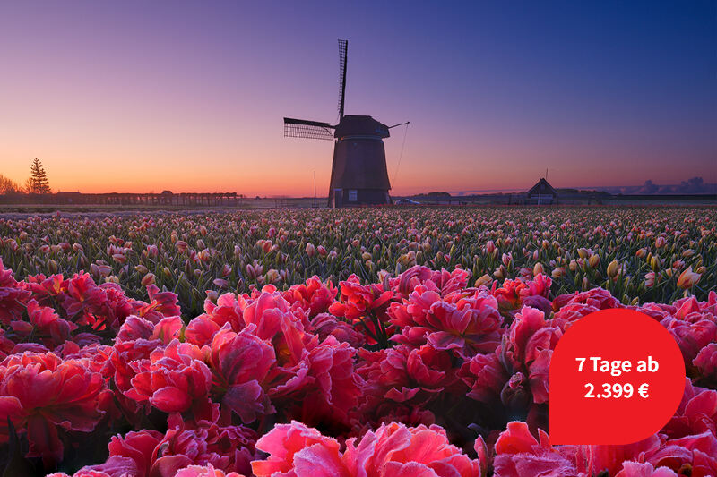 Leserreise Niederlande