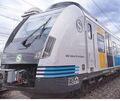 Das Tier war zwischen Benningen und Freiberg auf den Gleisen und wurde von einer S-Bahn erfasst. Das Tier war zwischen Benningen und Freiberg auf den Gleisen und wurde von einer S-Bahn erfasst.