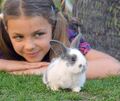 An Tierfreunde richtet sich die Messe PETS. Symbol
