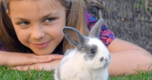 An Tierfreunde richtet sich die Messe PETS. Symbol
