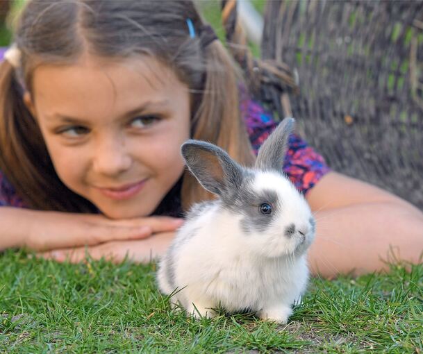 Das Beste für die haarigen Lieblinge: Darum ging bei der Pets-Messe 2026. Das Beste für die haarigen Lieblinge: Darum ging bei der Pets-Messe 2026.