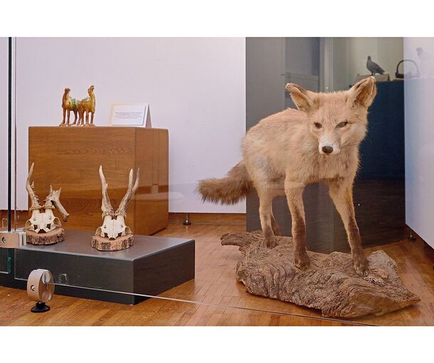 Die Ausstellung im Stadtmuseum widmet sich dem Verhältnis von Tier und Mensch.