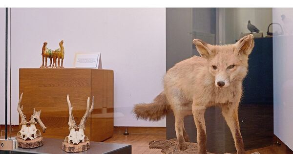 Exhibition at the Ditzingen City Museum shows the relationship between ...