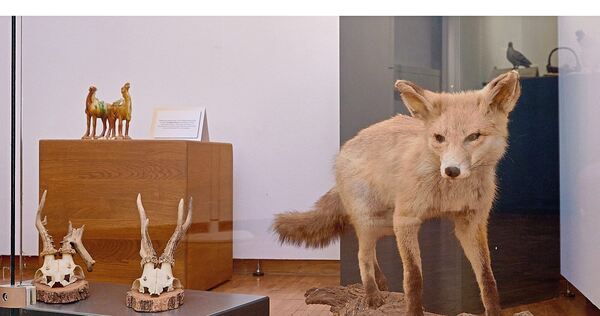 Die Ausstellung im Stadtmuseum widmet sich dem Verhältnis von Tier und Mensch.