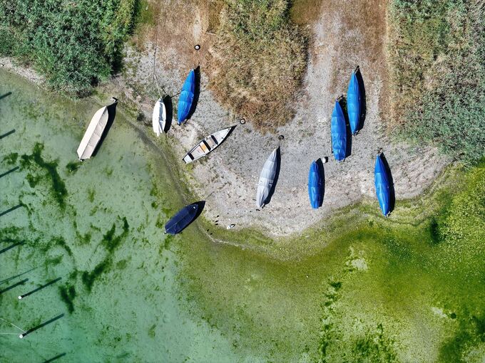 Bodensee hat Niedrigwasser Bodensee hat Niedrigwasser