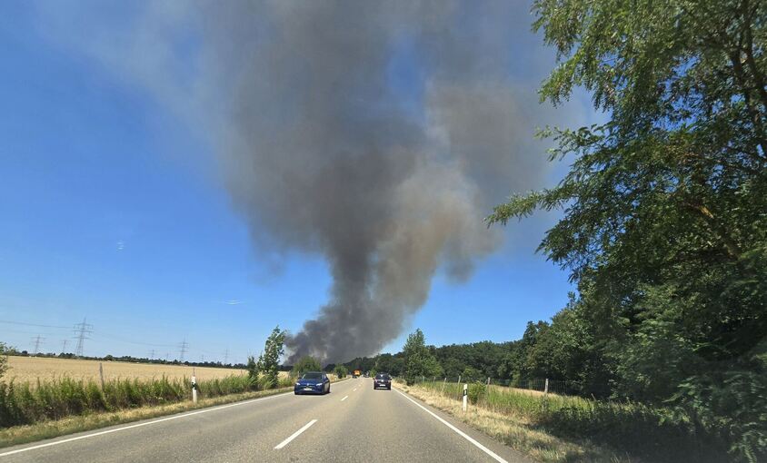 Flächenbrand an Bundestraße 36 Flächenbrand an Bundestraße 36