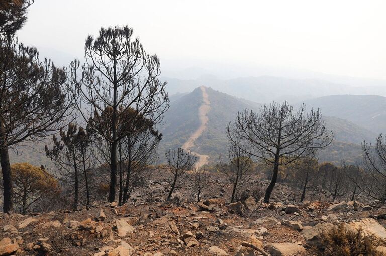 Waldbrand in Spanien