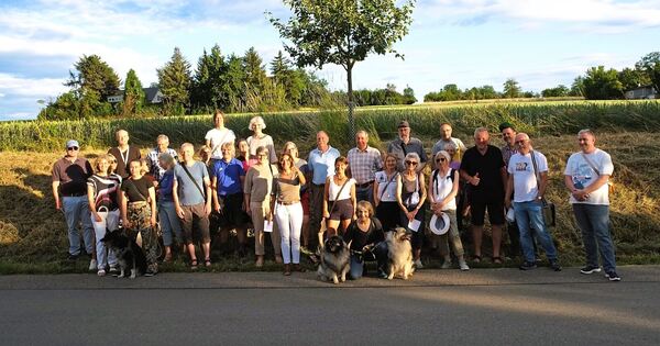 Citizens' initiative mobilizes against medieval park in Vaihingen
