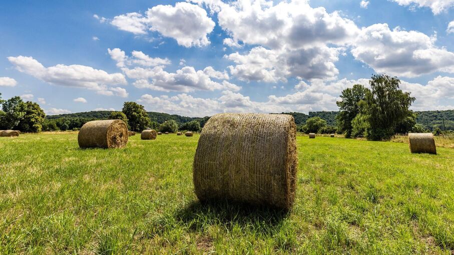 Heuballen auf einem Feld