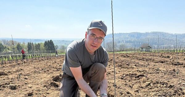 Michael Kinzinger hat auch in den Weinbergen mit Hitze und trockenen Böden zu kämpfen.