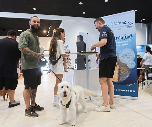 Viele Hunde sind auf der Messe zu sehen. Viele Hunde sind auf der Messe zu sehen.