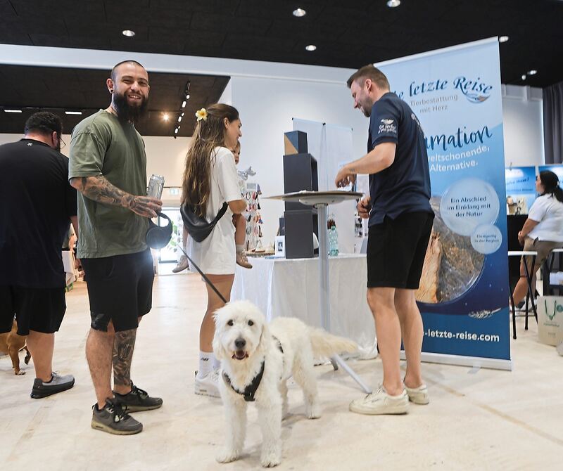 Viele Hunde sind auf der Messe zu sehen.