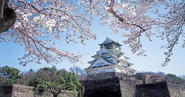 Zur Kirschblüte besonders schön: Osaka Castle