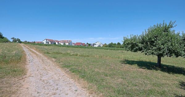 Ganz im Süden von Tamm soll die christliche Löwenherzschule entstehen. Ganz im Süden von Tamm soll die christliche Löwenherzschule entstehen.