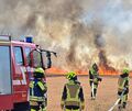 Im Kreis Ludwigsburg ist es in den vergangenen Tagen und Wochen vermehrt zu Bränden auf Feldern gekommen. Im Kreis Ludwigsburg ist es in den vergangenen Tagen und Wochen vermehrt zu Bränden auf Feldern gekommen.