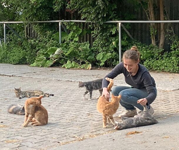 Egal ob Hauskatzen oder Schleichkatzen: Jette Pohl kümmert sich gerne um Tiere.