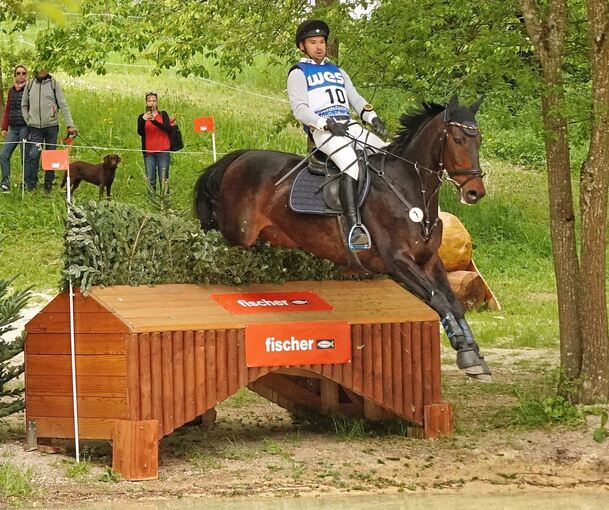 Turnierauftritte sorgsam dosieren: Lunis Weiß hat sein Pferd Astrello vor der WM geschont.