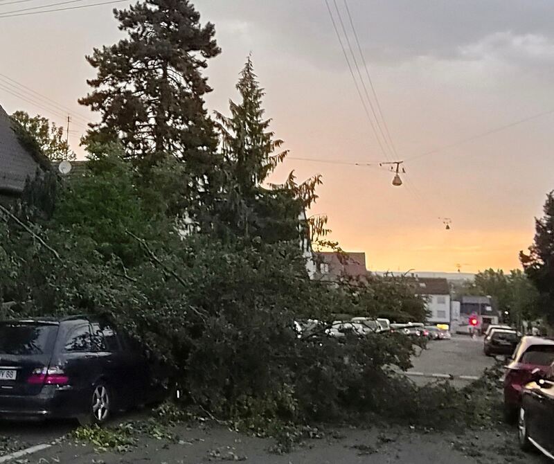 Ein umgeknickter Ast ist in der Ludwigsburger Oststraße auf einem Auto gelandet.