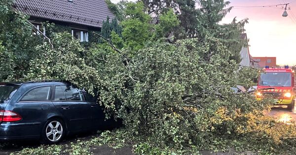 Das-sind-eure-Bilder-aus-der-Sturmnacht-im-Kreis-Ludwigsburg