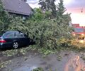 Durch den Sturm sind mehrere Bäume umgestürzt – hier ein Foto aus Ludwigsburg. Durch den Sturm sind mehrere Bäume umgestürzt – hier ein Foto aus Ludwigsburg.