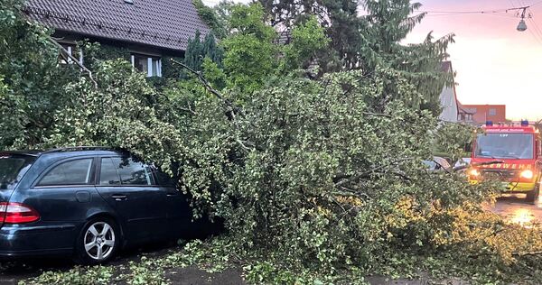 Durch den Sturm sind mehrere Bäume umgestürzt – hier ein Foto aus Ludwigsburg.