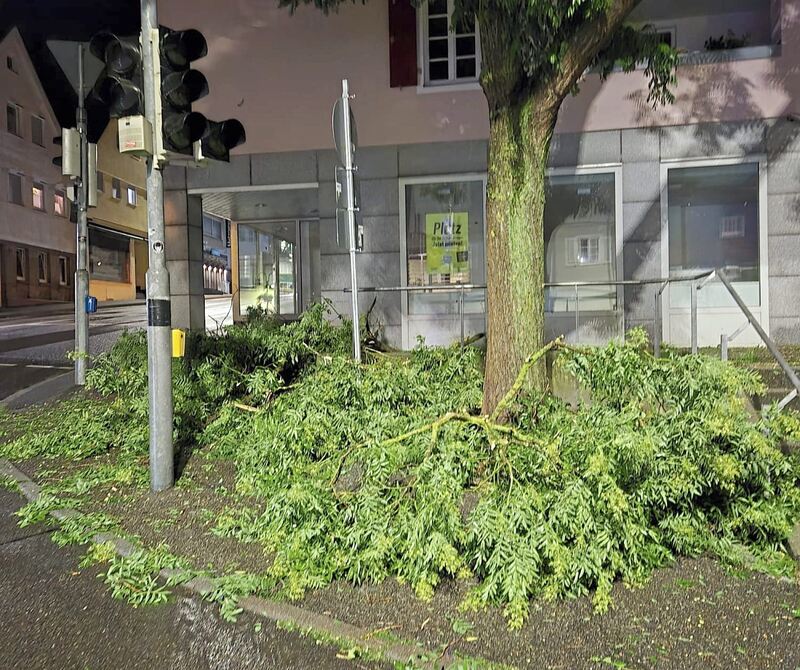 In Vaihingen ist viel Grünzeug von den Bäumen heruntergefallen.