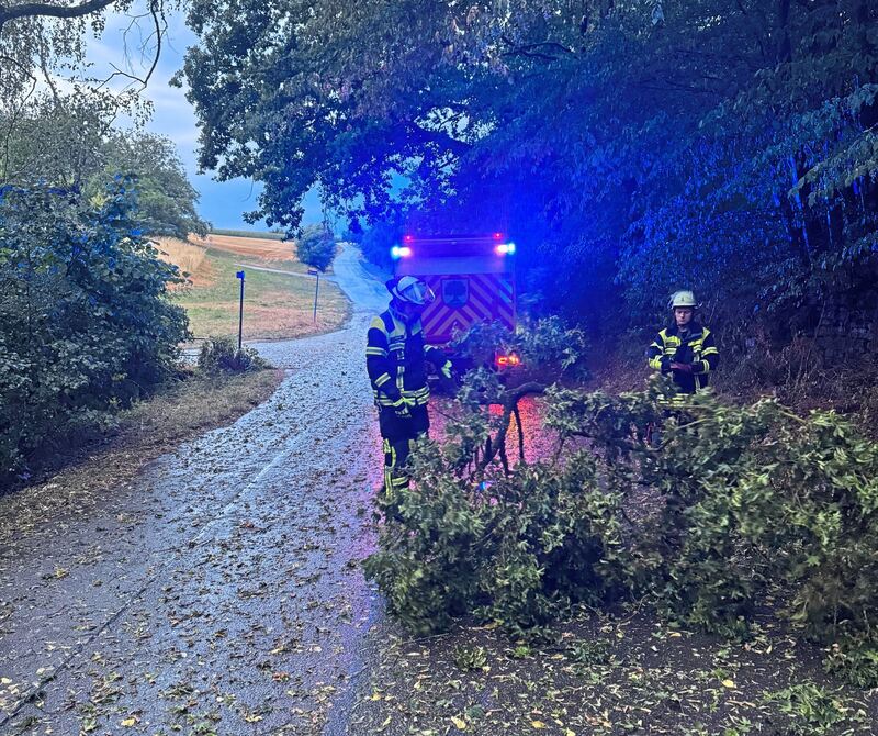 In Affalterbach ist die Feuerwehr damit beschäftigt, Äste von Straßen zu räumen.