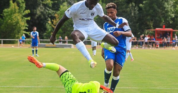 SGV Heilbronn-Freiberg sammelt gegen 1899 Hoffenheim Sympathiepunkte