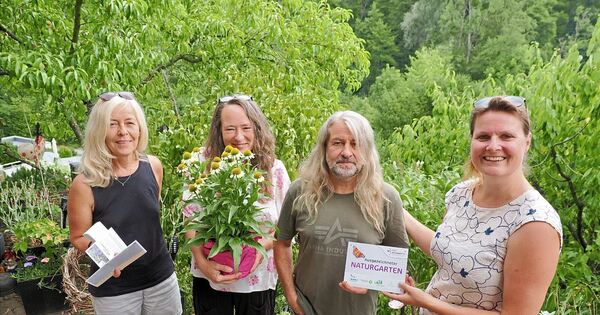 Excellent natural paradise: How a Remseck garden became a home for ...