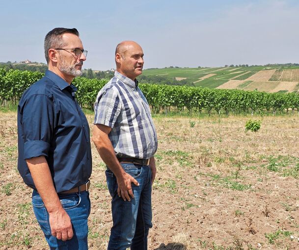 Jürgen Conz (links) und sein Stellvertreter Frank Braun in Bönnigheim: Die Flächenstilllegungen hinterlassen Lücken in den Weinbergen.