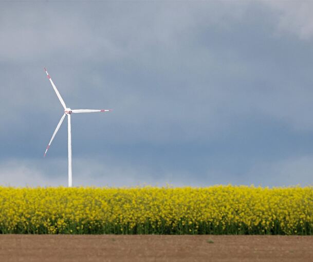 Zwei Windkraftanlagen könnten im Pulverdinger Holz auf Markung Enzweihingen entstehen.