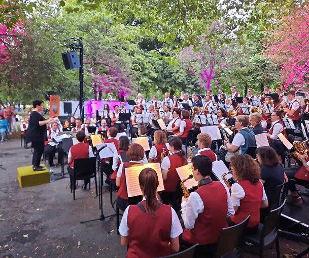 Über 90 Musiker spielen gemeinsam auf der Bärenwiese. Über 90 Musiker spielen gemeinsam auf der Bärenwiese.