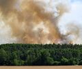 Rauch steigt aus einem Wald auf. Die Gefahr für Waldbrände ist laut Deutschem Wetterdienst derzeit auch im Kreis relativ hoch. Rauch steigt aus einem Wald auf. Die Gefahr für Waldbrände ist laut Deutschem Wetterdienst derzeit auch im Kreis relativ hoch.