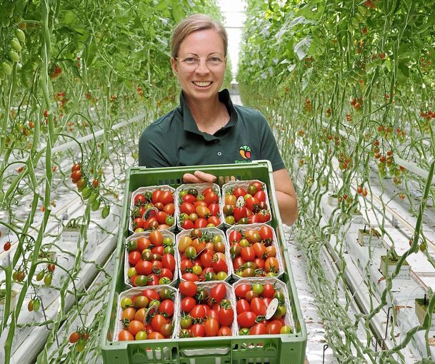 Olivia Kiemle im Gewächshaus in Bietheim-Bissingen, wo die Tomatenvielfalt groß ist. In diesem Jahr macht den Tomaten allerdings die große Hitze zu schaffen.