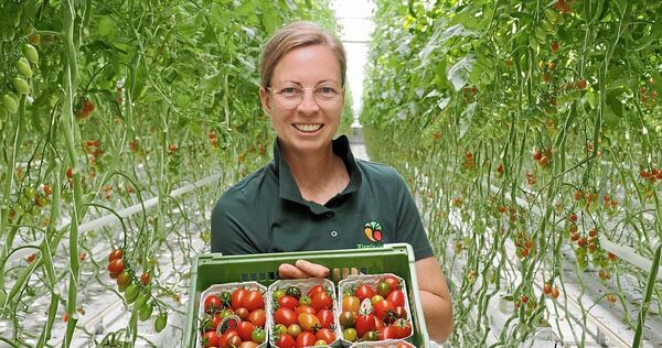 Olivia Kiemle im Gewächshaus in Bietheim-Bissingen, wo die Tomatenvielfalt groß ist. In diesem Jahr macht den Tomaten allerdings Olivia Kiemle im Gewächshaus in Bietheim-Bissingen, wo die Tomatenvielfalt groß ist. In diesem Jahr macht den Tomaten allerdings die große Hitze zu schaffen.