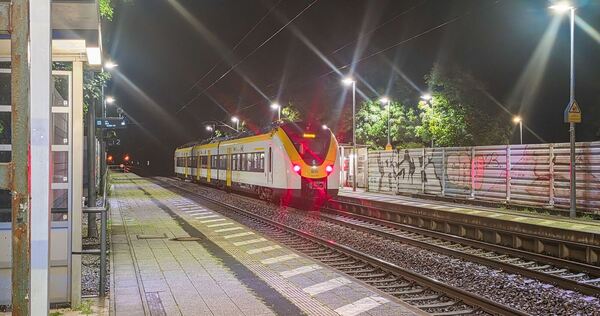 Bahn-Sicherheitsmann stürzt aus Zug